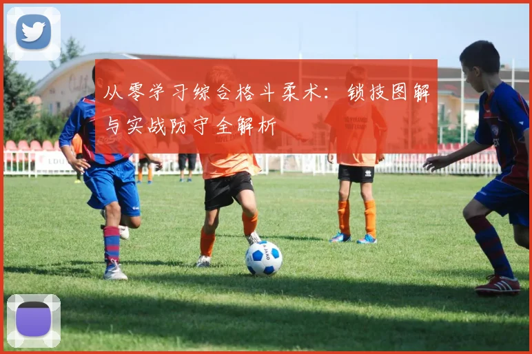 从零学习综合格斗柔术：锁技图解与实战防守全解析