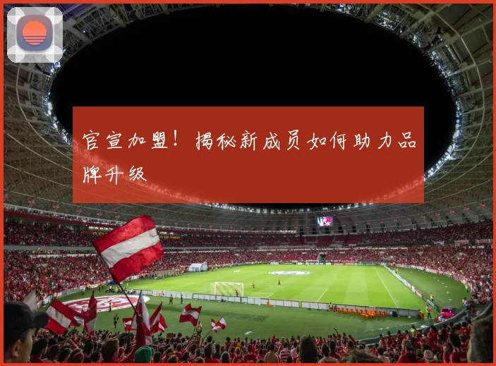 官宣加盟！揭秘新成员如何助力品牌升级