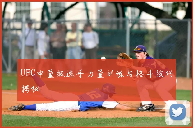 UFC中量级选手力量训练与格斗技巧揭秘