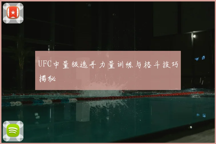 UFC中量级选手力量训练与格斗技巧揭秘