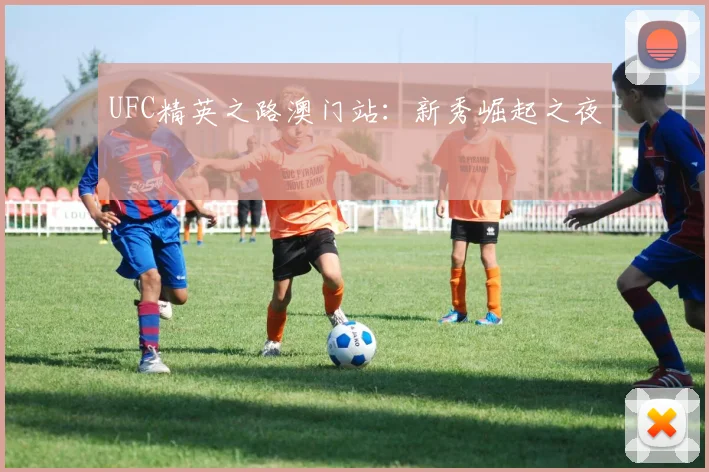 UFC精英之路澳门站：新秀崛起之夜